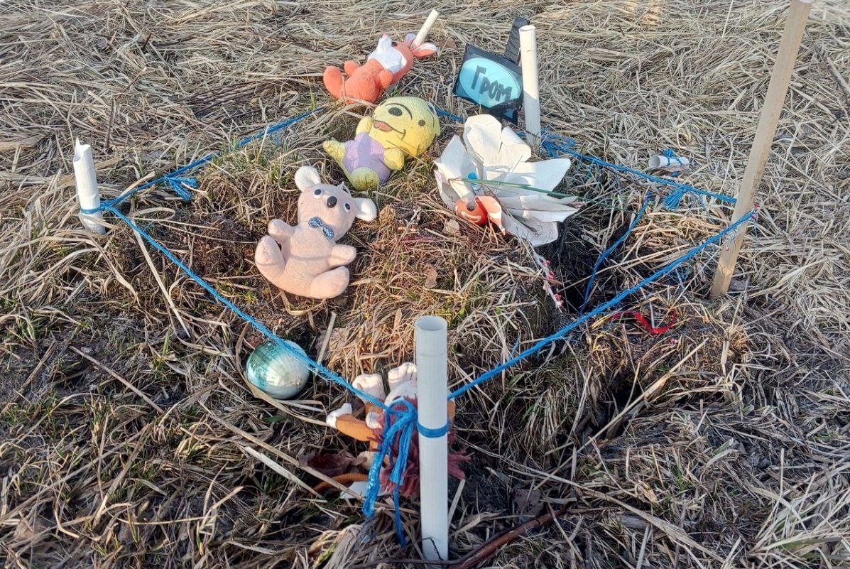    Некоторые хозяева хоронят своих питомцев в черте города