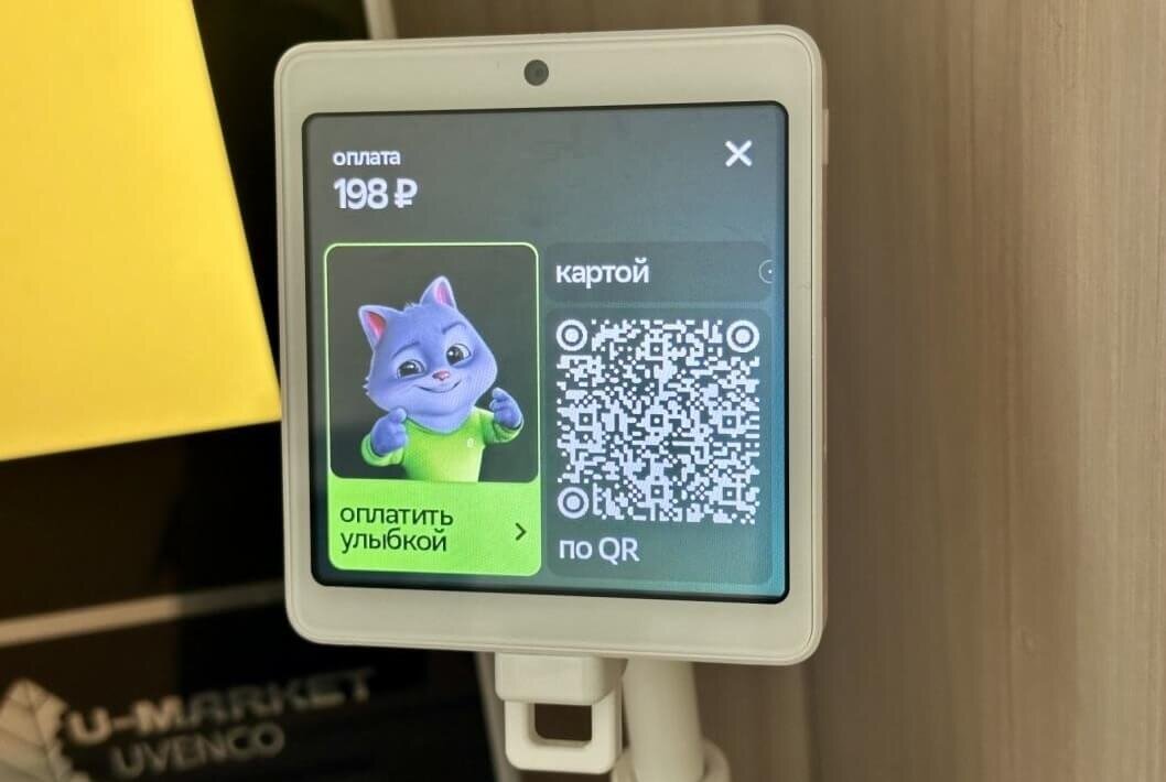    В случае чего — платите лицом. Фото: Тюменская линия