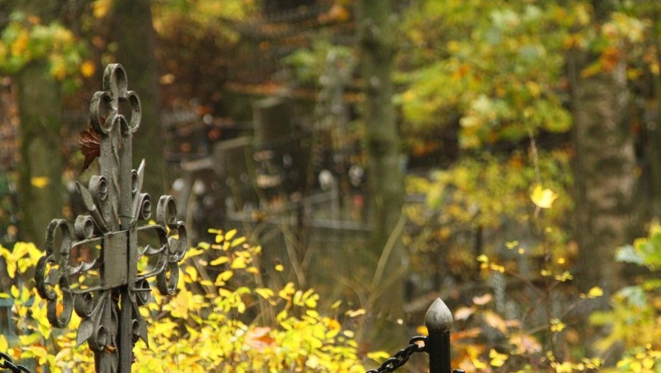    Автор фото: Trend/Евгений Иванов