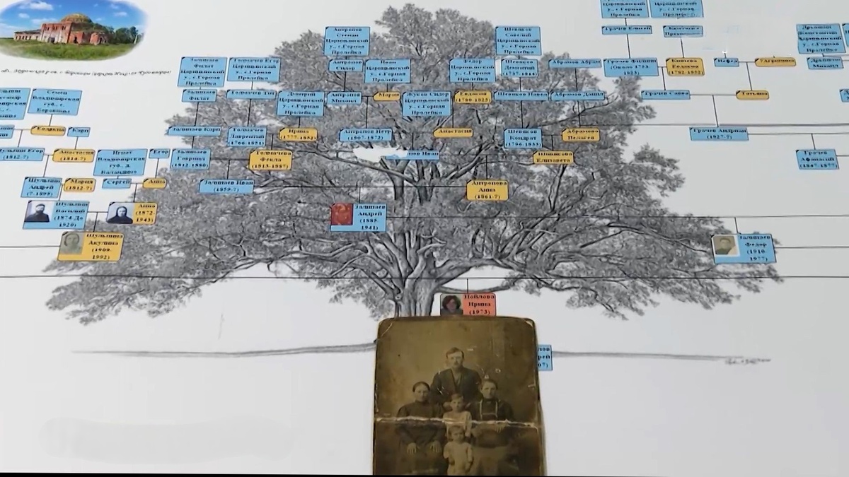    Живые корни: как построить своё генеалогическое древо