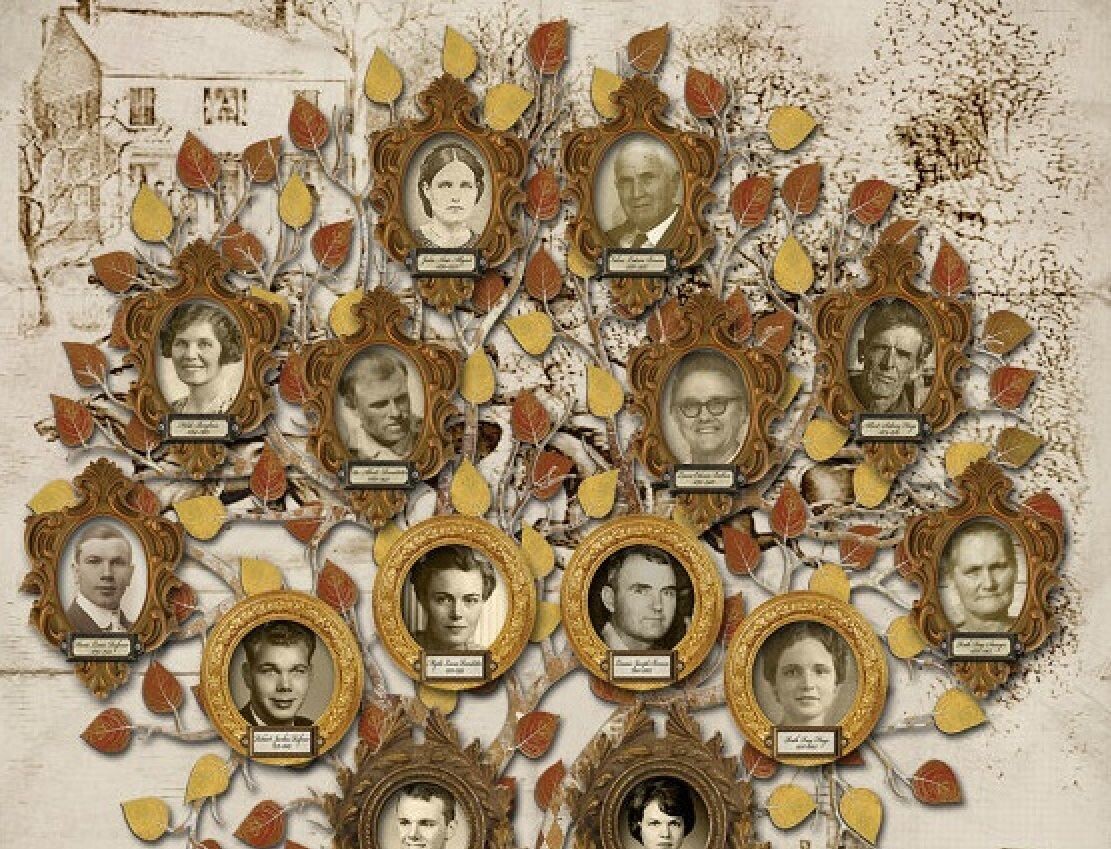    Живые корни: как построить своё генеалогическое древо