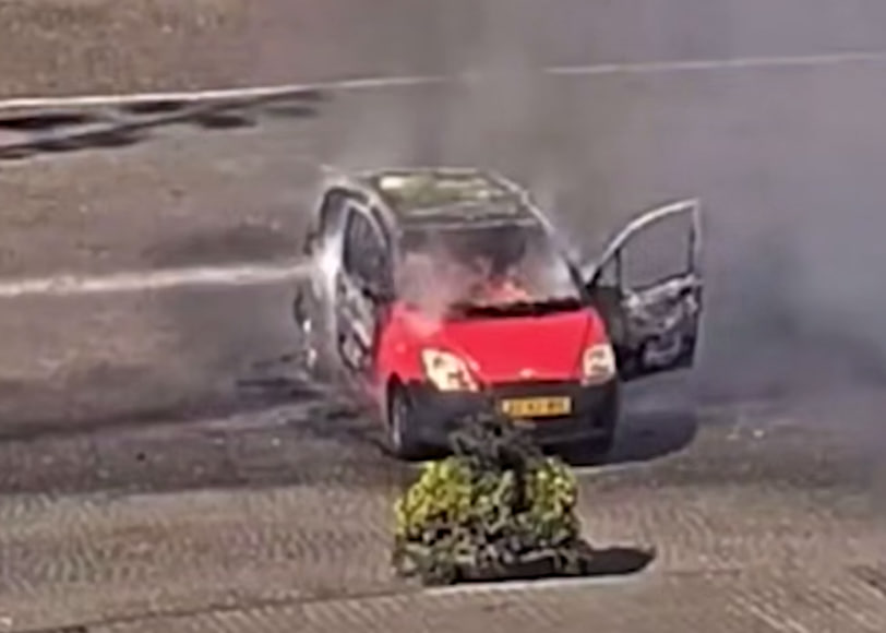     / Источник: Кадр из видео