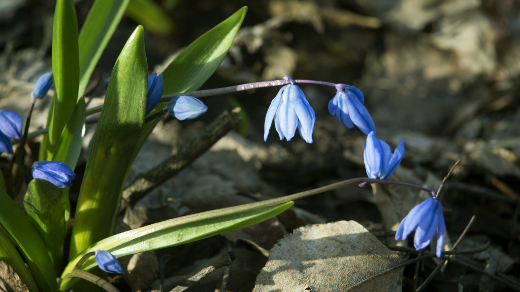    Фото: Nikolay Gyngazov/Globallookpress