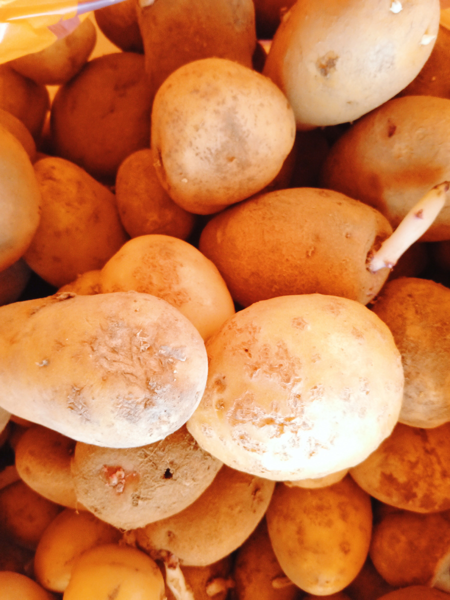 Картошка прошлогодняя.