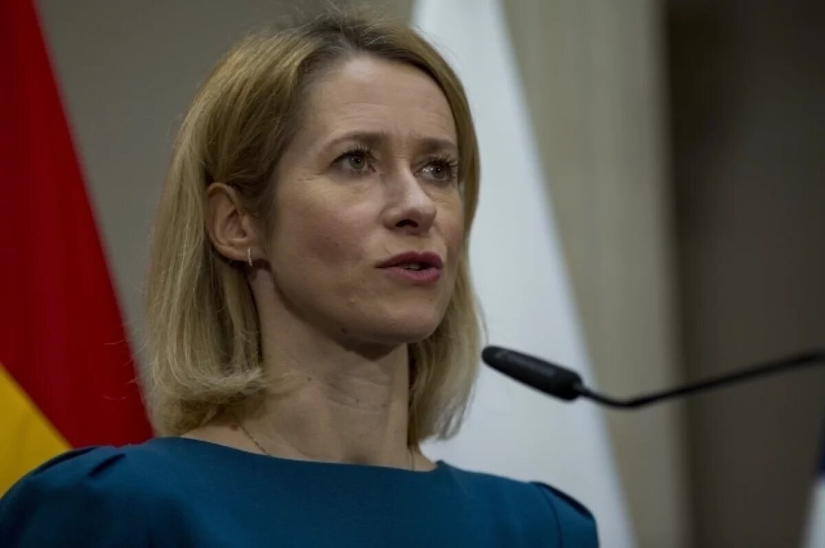    Боуз назвал Каю Каллас министром по вопросам «Бойтесь Россию»