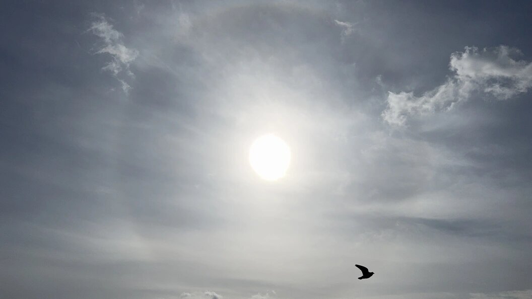    Фото: Alexander Legky/Globallookpress