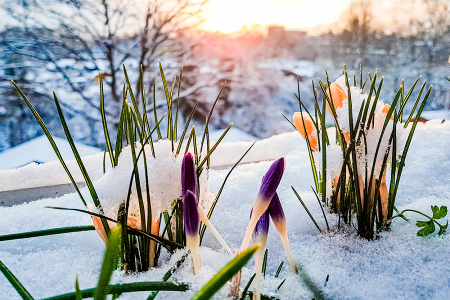     Белгидромет: весеннее тепло в Беларуси сменят снег и метели