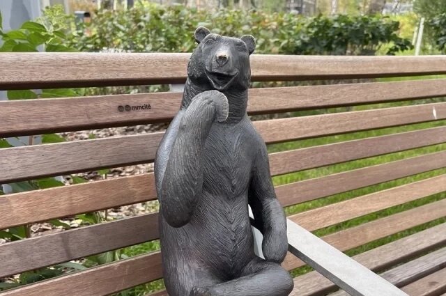    Что за «Мишку с посикунчиком» похищали с набережной в Перми?