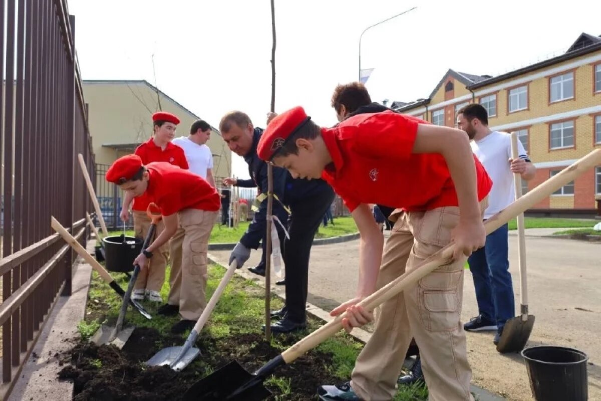    В Тахтамукайском районе Адыгеи посадили 80 саженцев деревьев