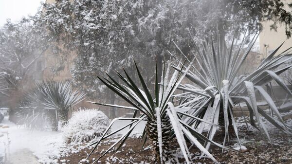    © РИА Новости Крым