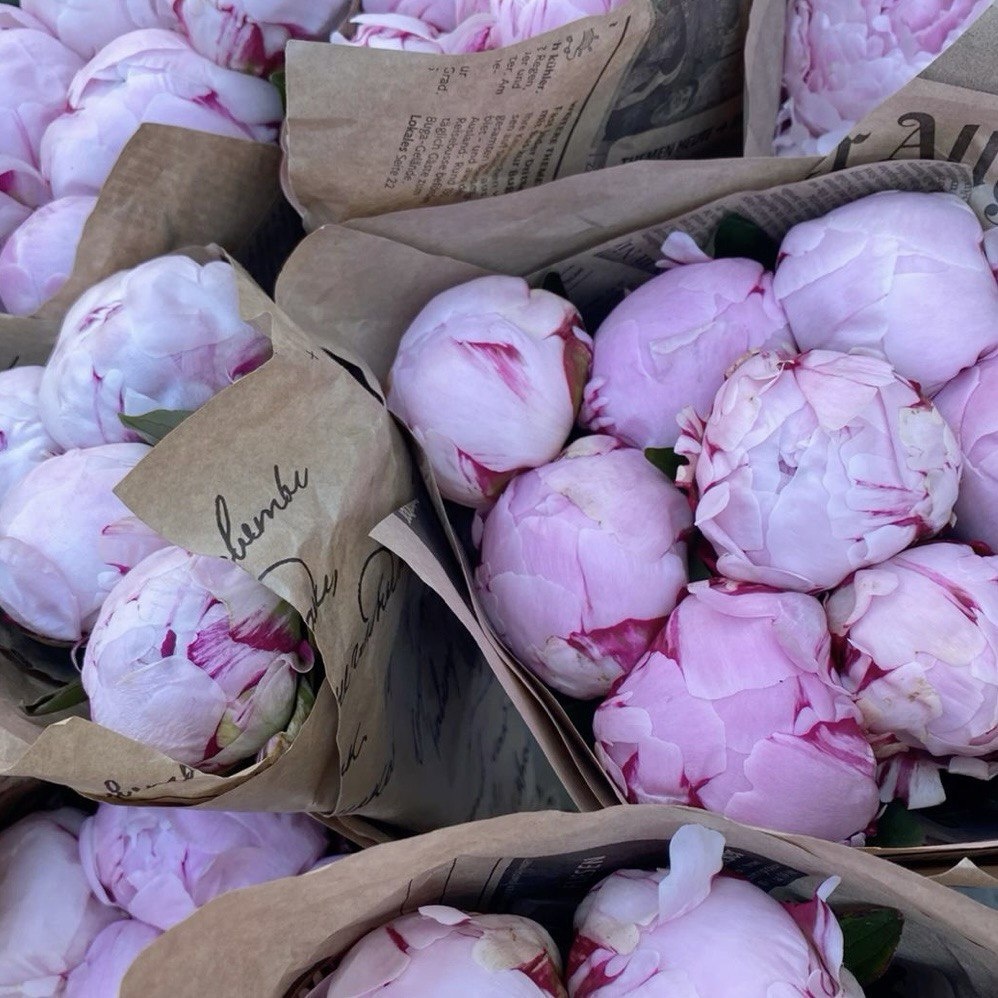 Картинка из Pinterest 