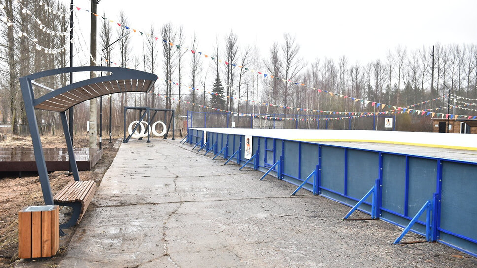 Фото: Пресс-служба правительства Ярославской области