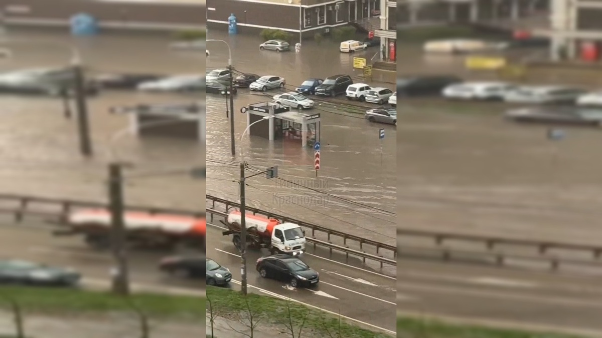    Фото: соцсети