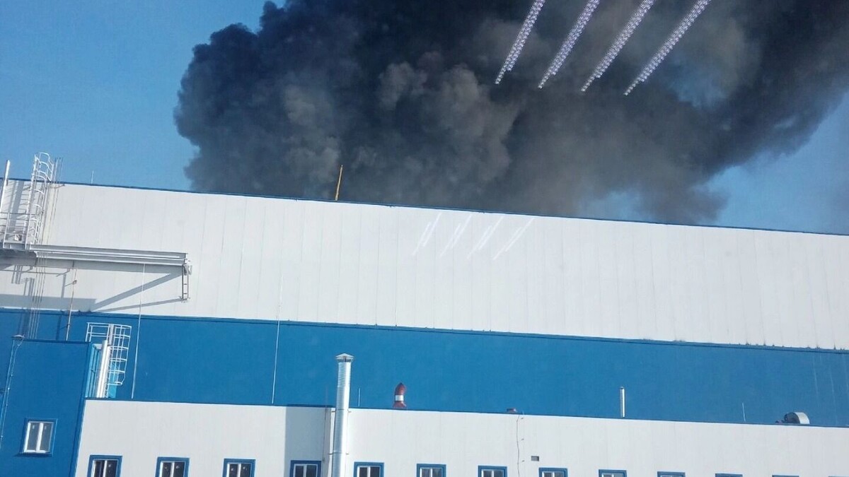     Источник: karelinform.ru