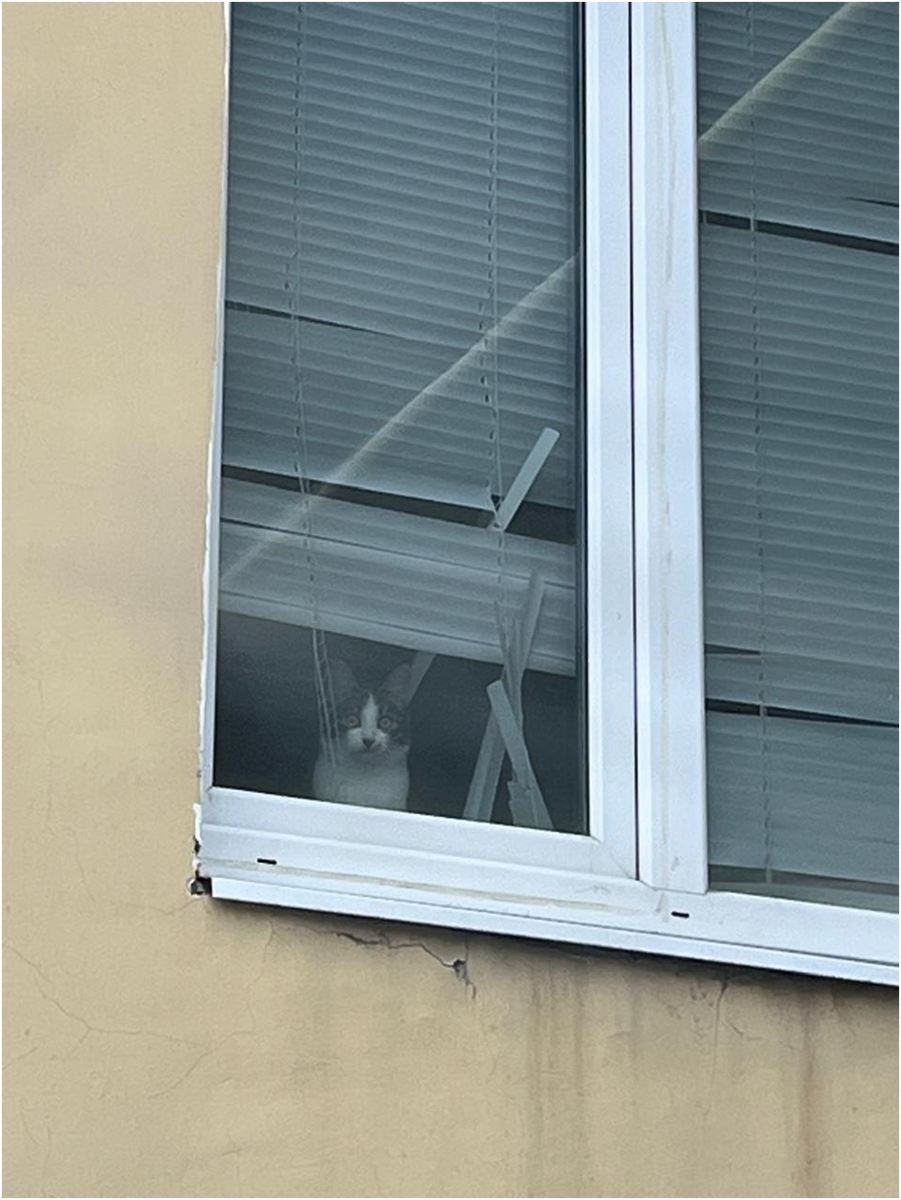 Так, пожалуй, лучше видно!   Фото Бовровкиной-Морковкиной.