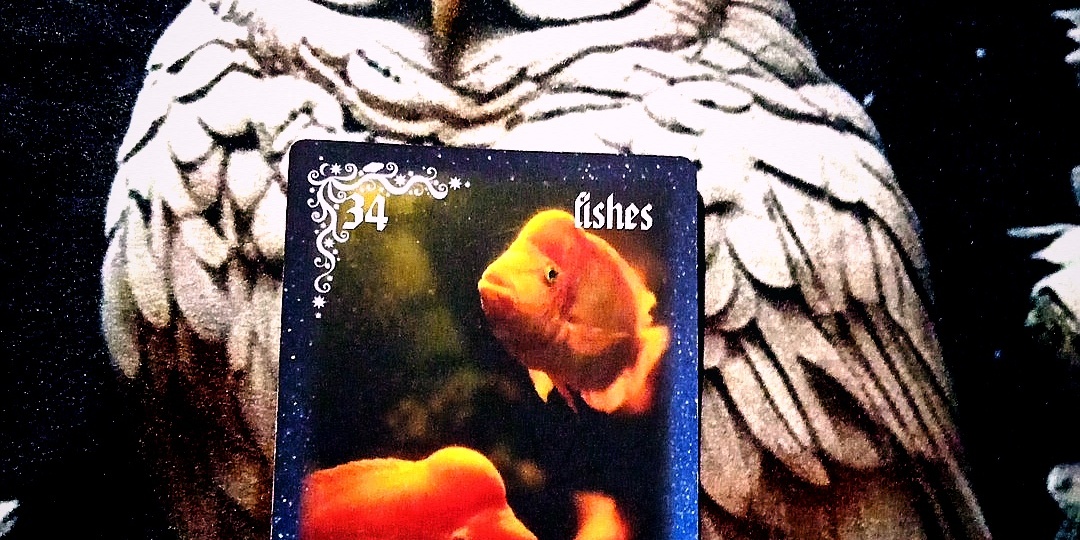 СОВЕТ НА ДЕНЬ