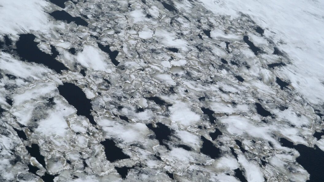    Фото: Serguei Fomine/Russian Look/Globallookpress