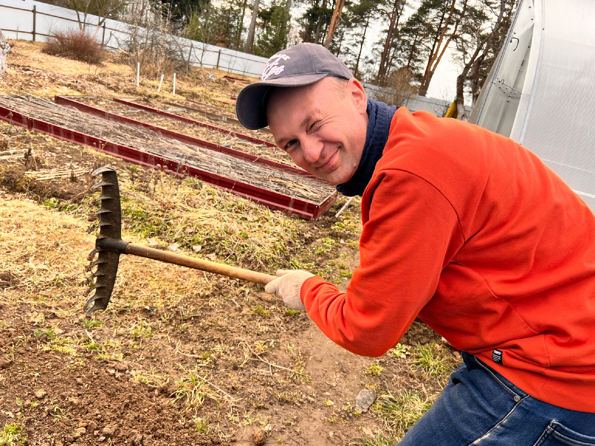 Дачный сезон: погнали! 