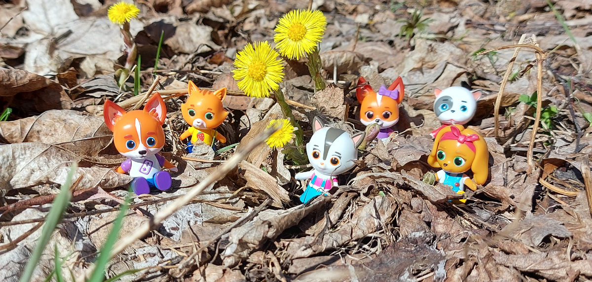 Кармашные кошечки-собачки