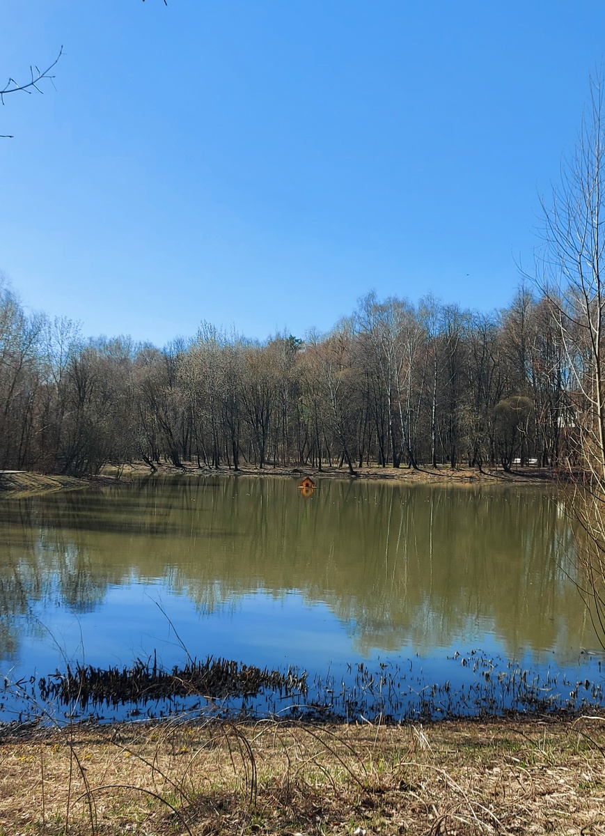 Первый  лесопарковый пруд
