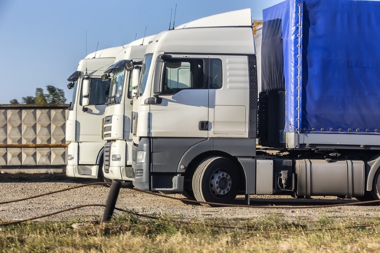 Фото: © Юрий Бизгаймер / Фотобанк Лори