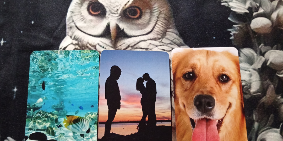 ЧУВСТВА МУЖЧИНЫ К ЖЕНЩИНЕ