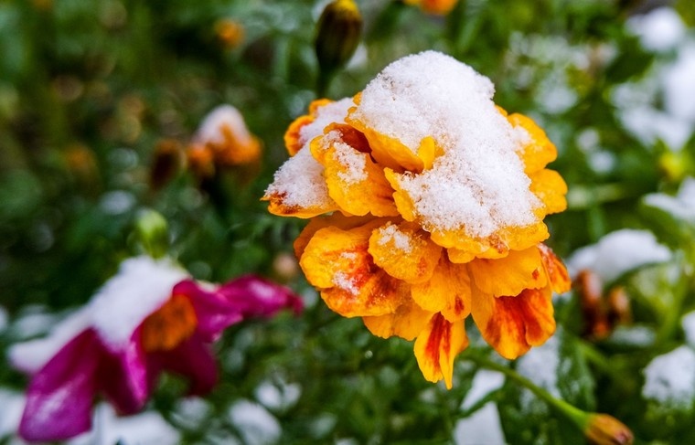    Сергей Лантюхов/NEWS.ru