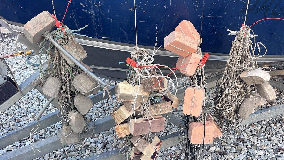    Фото: пресс-служба Прокуратуры Краснодарского края