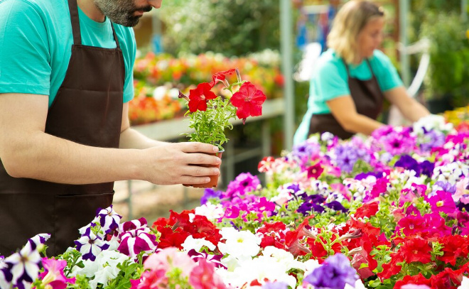    © pch.vector / ru.freepik.com