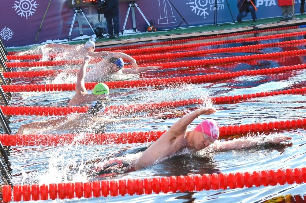    Фото:  АиФ/ Виктор Шубин