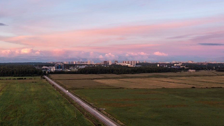    Сельское поле в районе реки Каменки близ дороги в Каменку. Автор фото: Тихонов Михаил/ДП