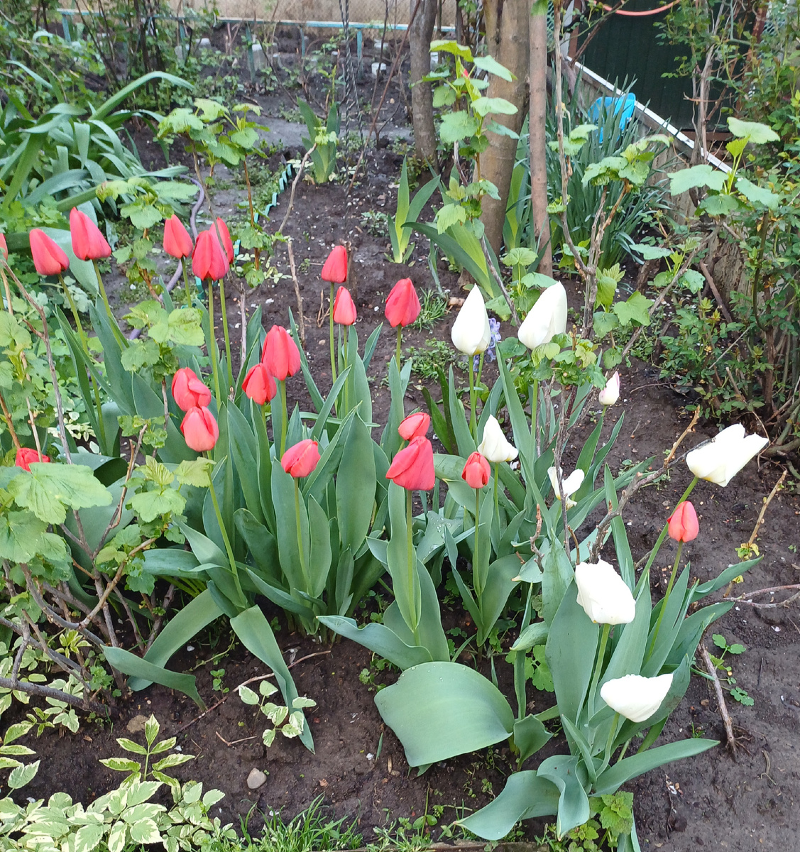 Фото автора.