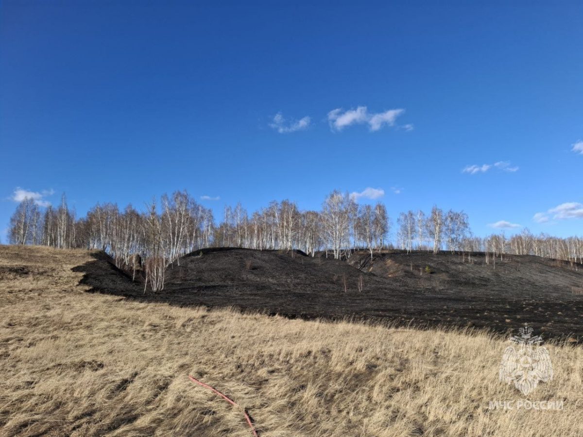    По данным спецслужб, пострадавших и погибших нет