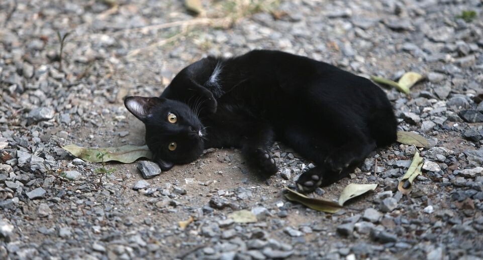    Chaiwat Subprasom/Keystone Press Agency / www.globallookpress.com