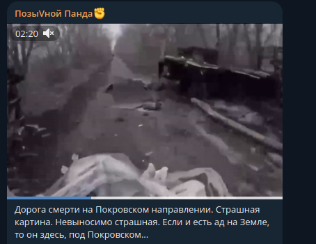    Фото: скриншот Telegram/"ПозыVной Панда"