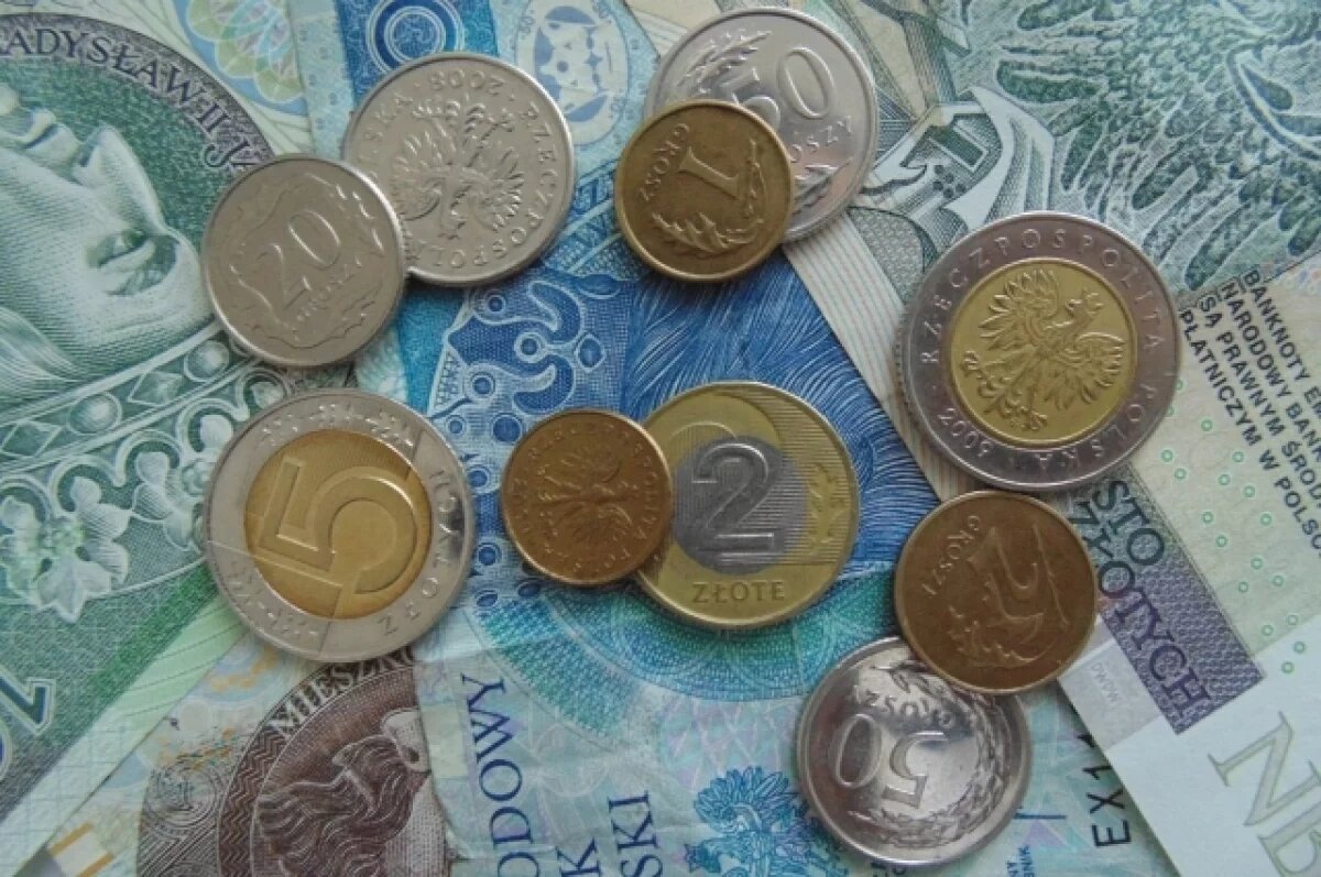    Туск заявил, что экономика Польши потеряет 10 млрд злотых из-за пошлин США