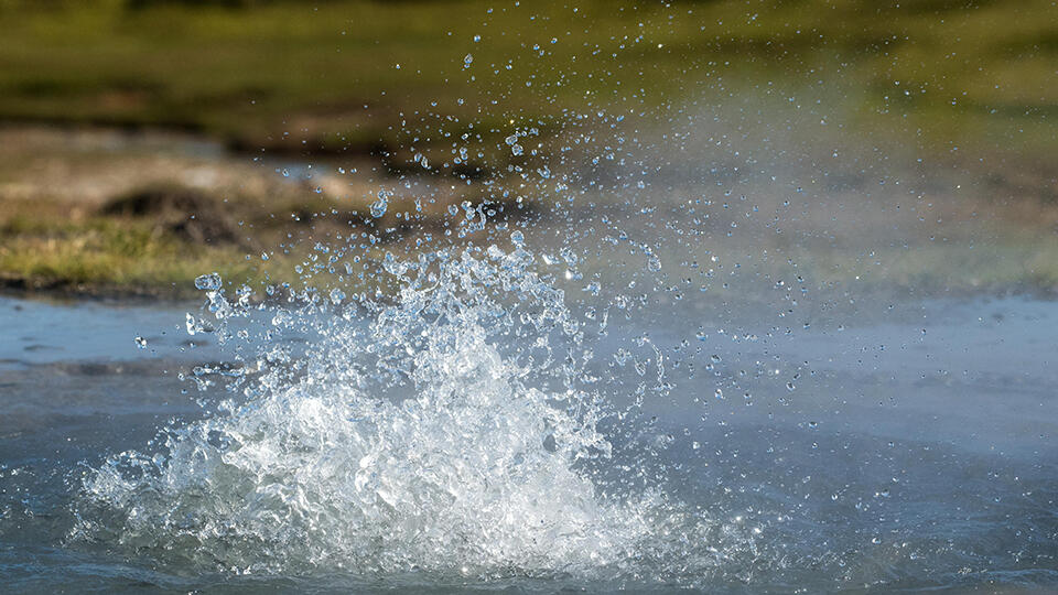 Фото: © Global Look Press/Olaf Krüger