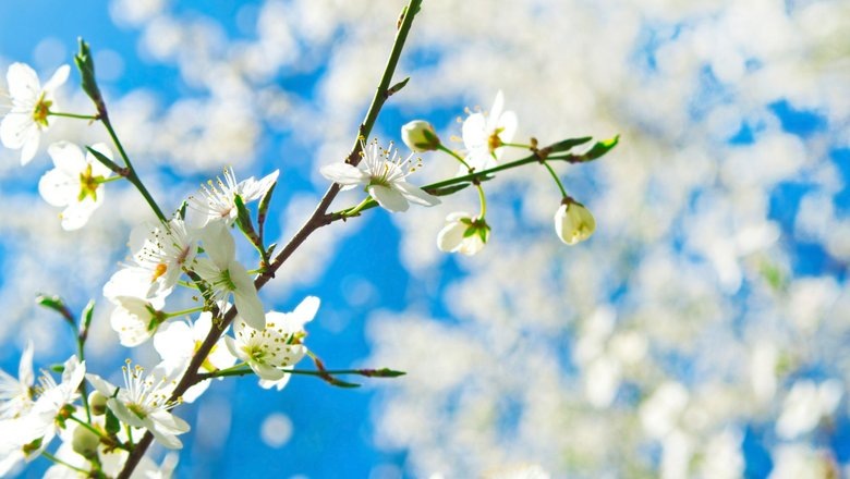 Источник: Freepik