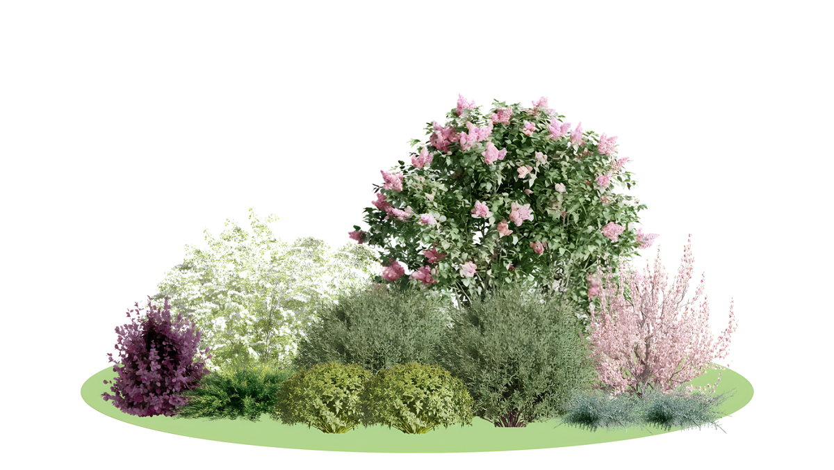 Садовая композиция (landcomp.ru)