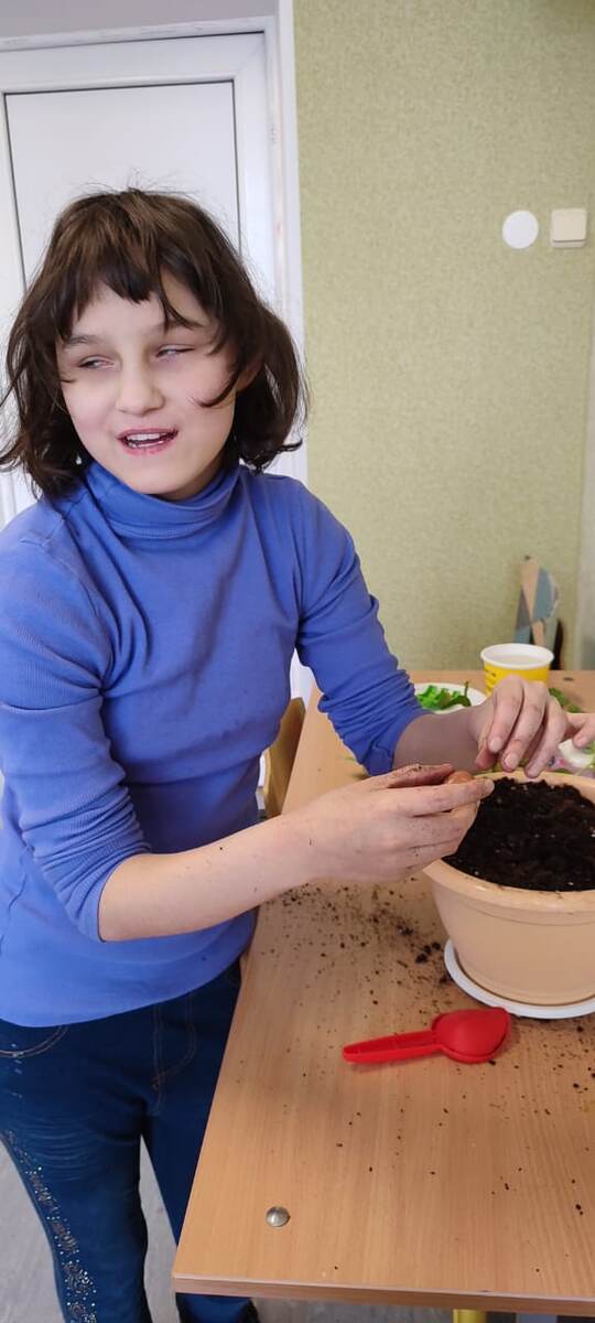 Огородник на окне.