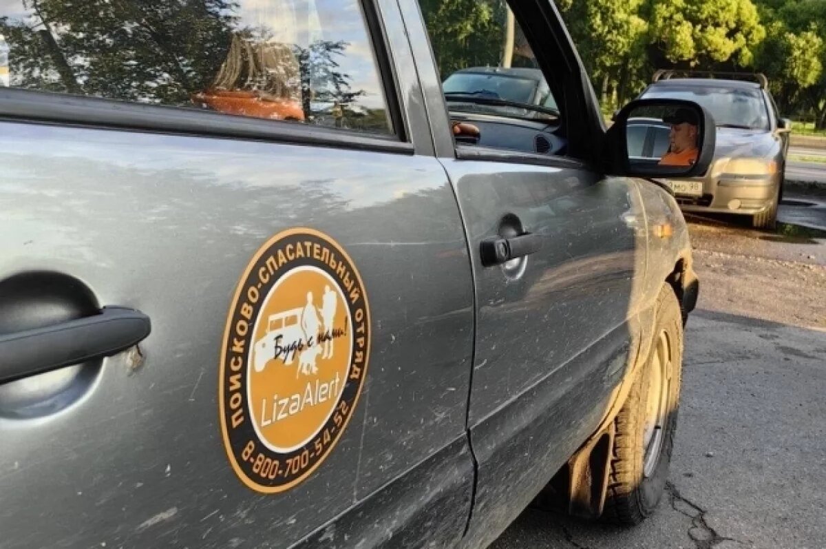    Тревожный март: 35 пропавших волгоградцев - поиски продолжаются