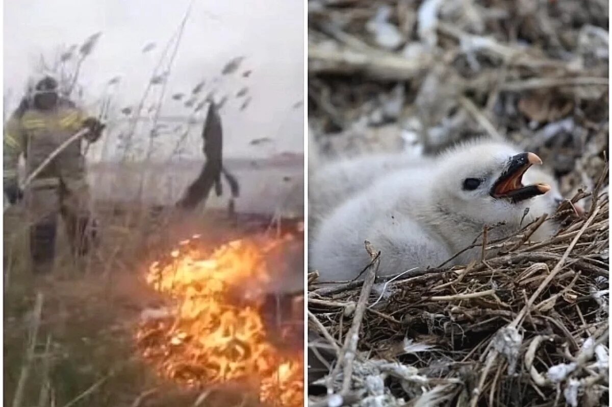    «Просто катастрофа!»