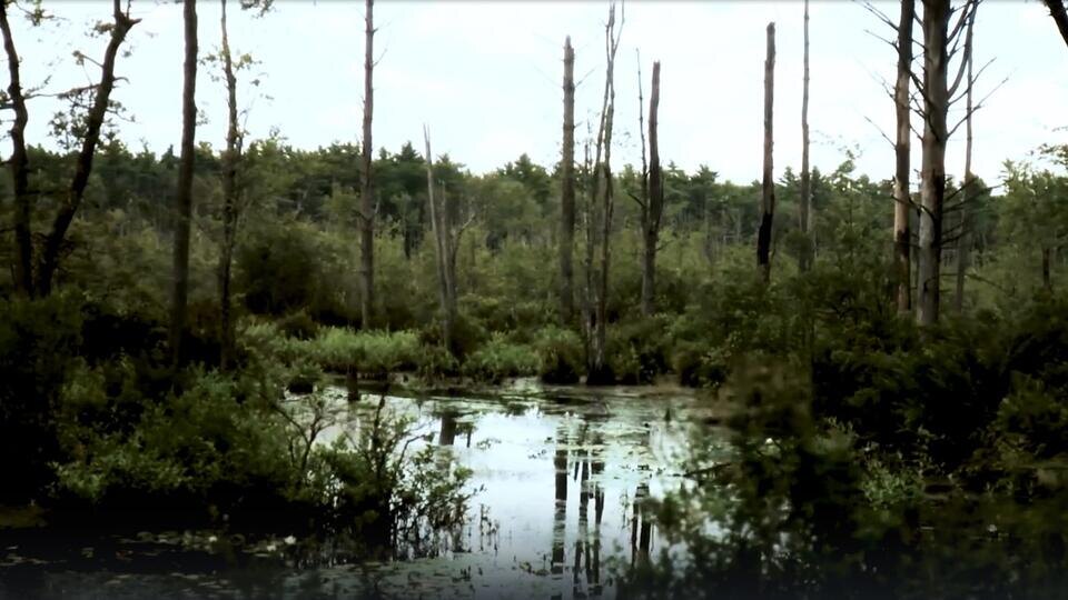 Фото: © Кадр из программы "Невероятно интересные истории", РЕН ТВ