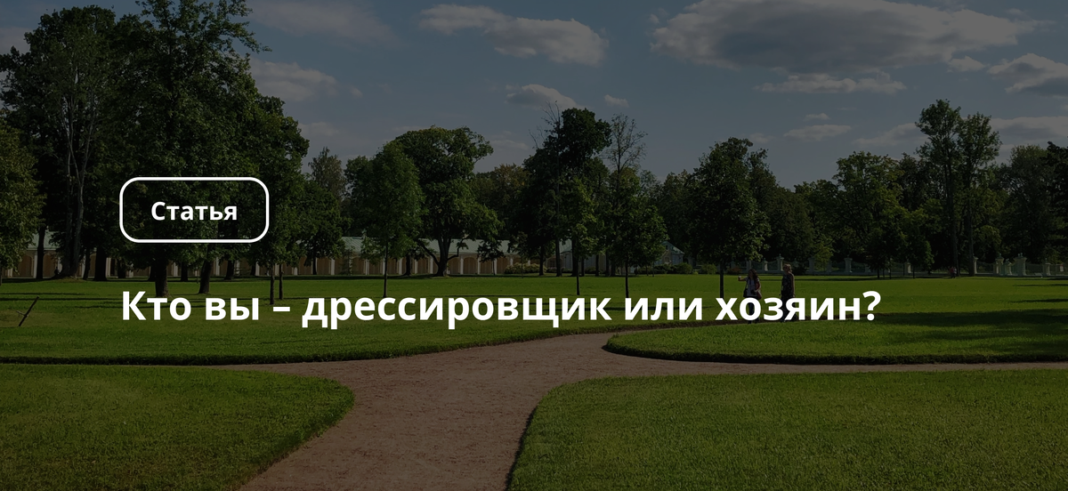 Определите свою роль в бизнесе