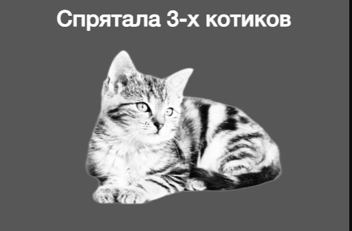 Три таких котика нужно найти на картинке