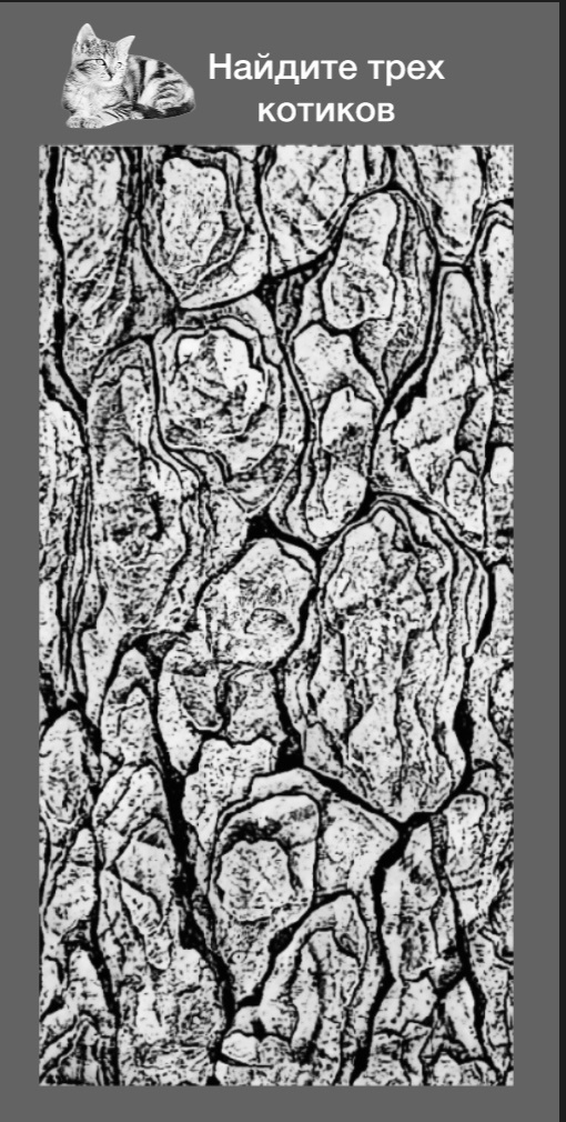 Тест на воображение и умение замечать малозаметное.