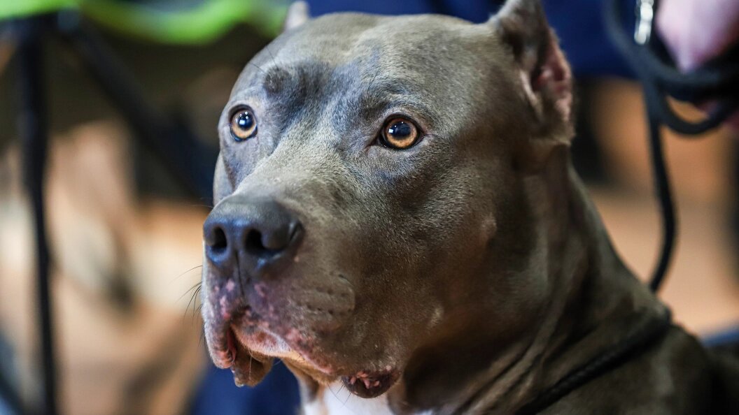    Фото: Razmik Zackaryan/URA.RU/Globallookpress