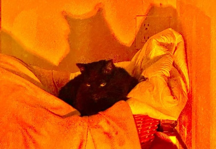 ОРАНЖЕВЫЙ ХРОМО-ТИП