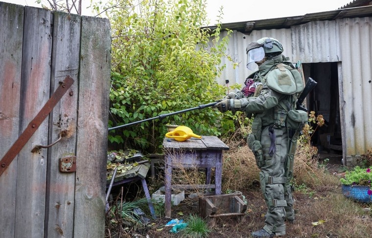    Наталья Шатохина/NEWS.ru