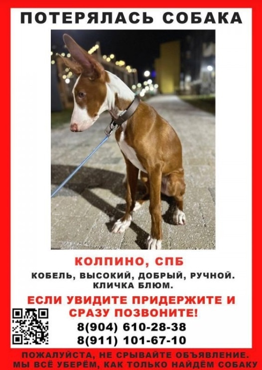 Фото: соцсети